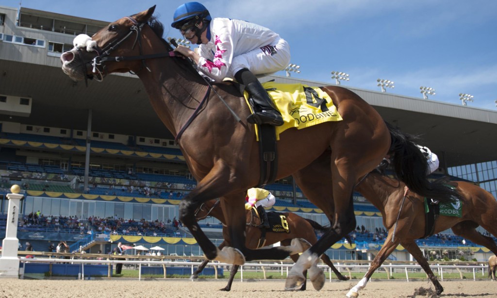 Bison City Stakes won by Caren