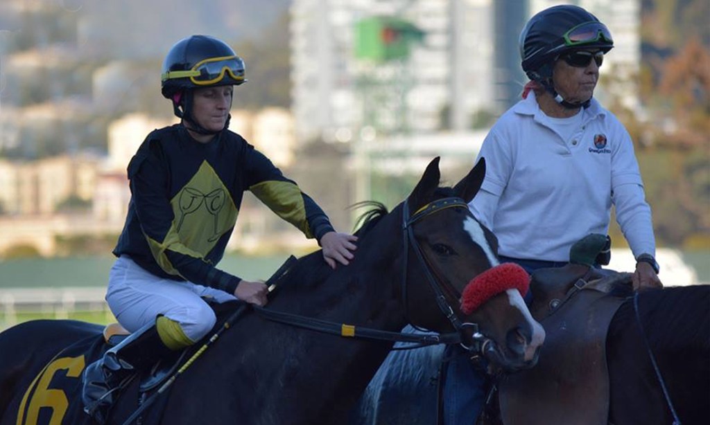 Code Warrior by Society's Chairman