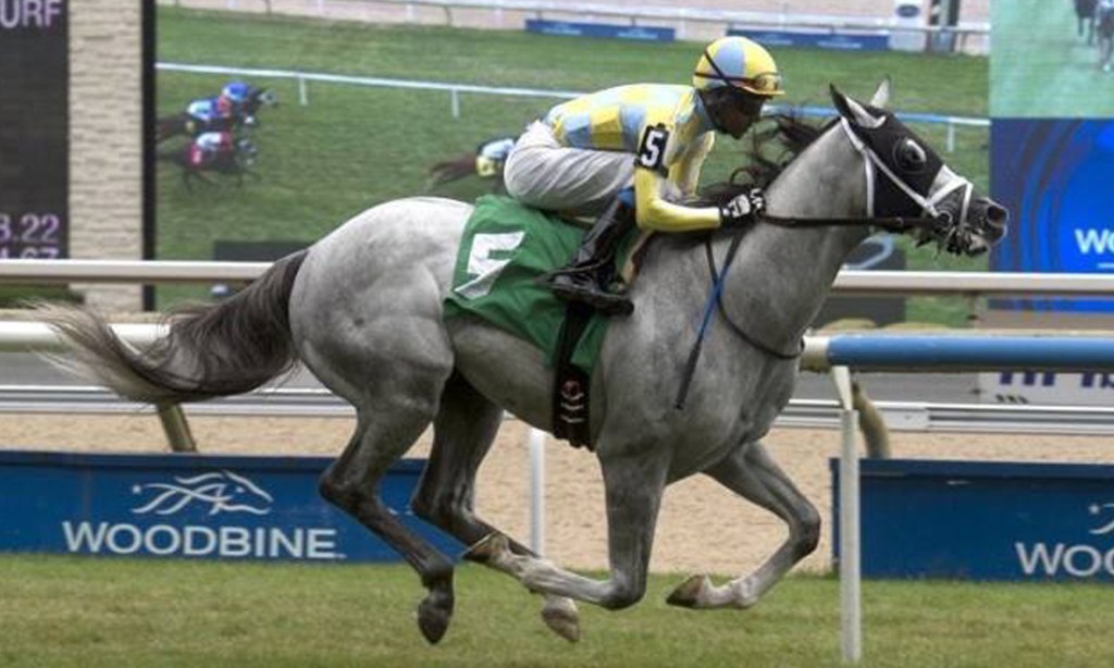 Shannondoe-bred Fleetway Wins