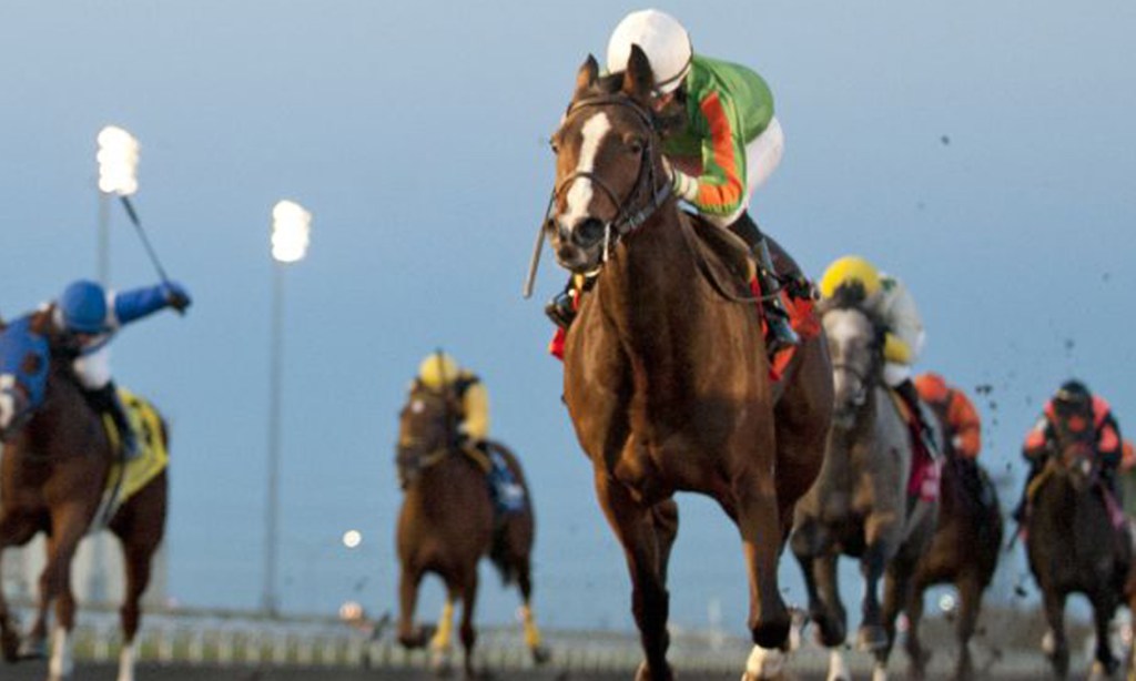 Sparkle's Girl win Ontario Lassie Stakes