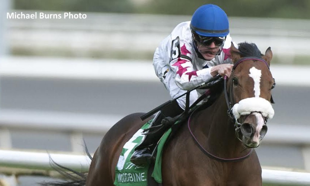 Society's Chairman daughter Caren best in Carotene Stakes