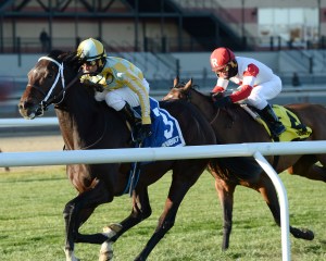 Dynamic Sky Defeats champion Big Blue Kitten in Red Smith H. (G3)