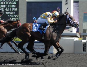 Dynamic Sky Wins Plate Trial S.