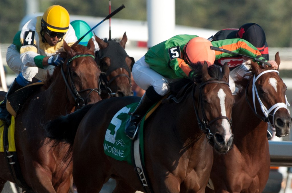 Society's Chairman daughter Sparkle's Girl