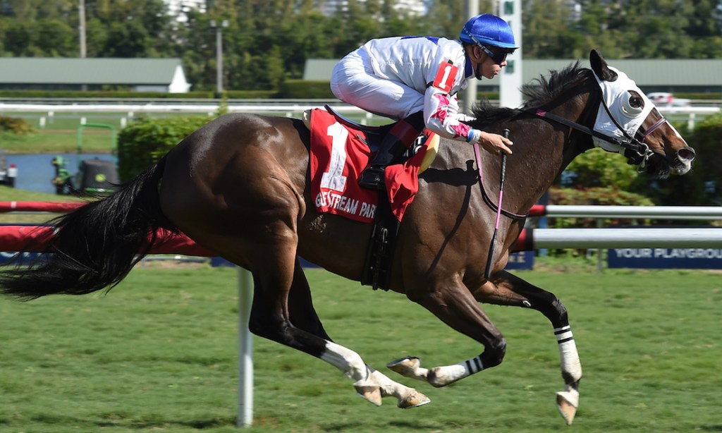 Code Warrior by Society's Chairman