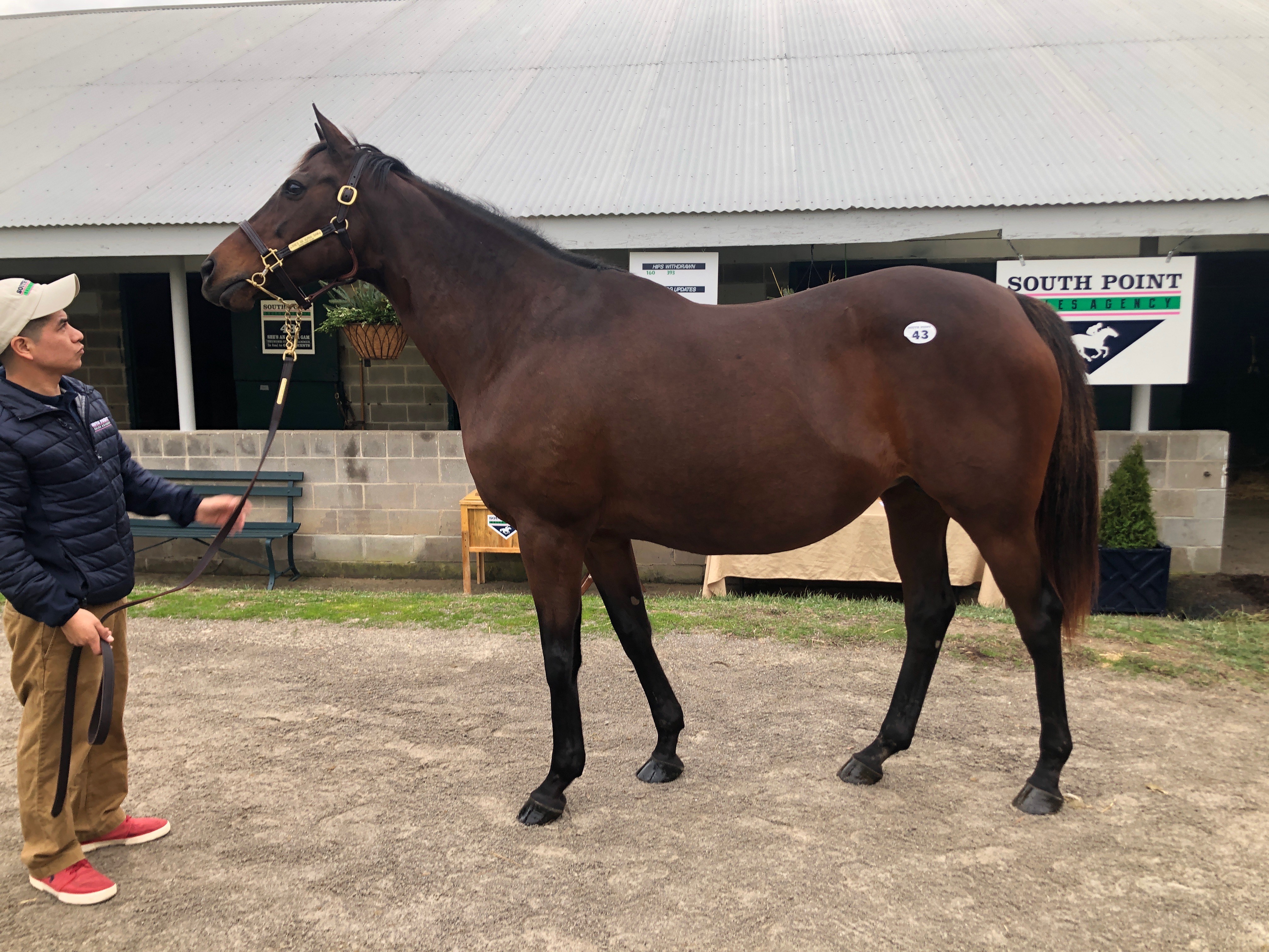 60044289179__F15023FD-C289-4D09-9A8F-81717419C44E